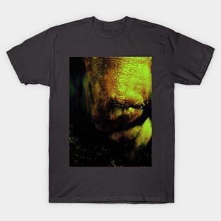 Portrait, digital collage, special processing. Weird. Alien mouth. Green and yellow. T-Shirt